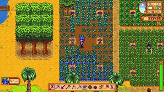 Stardew Valley Qi s Crop Tutorial