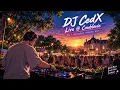Sunset Melodic House | 3H15 Open Air DJ Set in France - DJ CedX