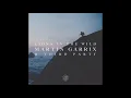 Martin Garrix & Third Party - Lions In The Wild (Official Extended Mix)