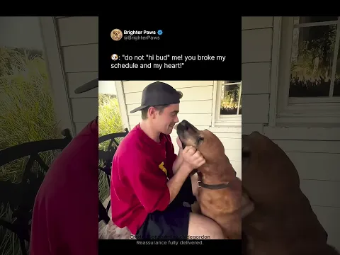 Car Gone, No Note! 🐶