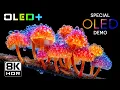 Download Lagu SPECIAL OLED DEMO  - Glorious Spectacular World in 8K HDR | Dolby Vision™