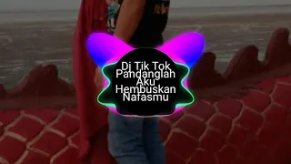 DJ TIK TOK TERBARU PANDANGLAH AKU REMIX 2020®