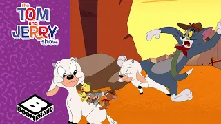 Camping Trip | Tom and Jerry Show | Boomerang UK