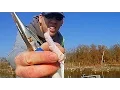 Walmart Fishing challenge - crazy fish bait
