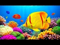 Download Lagu Ocean Mindfulness in 4K – Relaxing Aquarium for Calm and Focus