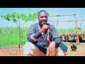 Download Lagu MADEBE JINASA AINGILIA KATI UGOMVI WA NELEMI NA LIMBU LUCHAGULA (AWASULUHISHA) BY LWENGE STUDIO