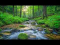 Download Lagu Nomierinoša mūzika nerviem 🌿 dziedinoša mūzika sirdij un asinsvadiem, relaksācija #7