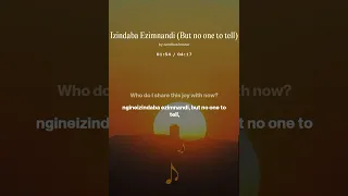 izindaba ezimnandi but no one to tell by zandi soul music zandi soul music my healing journey