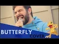 Download Lagu Butterfly (English) - Digimon - Epic Quest Productions Cover