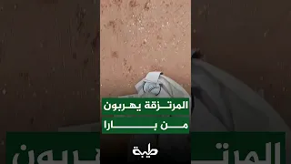 مرتزقة مليشيا الدعم السريع يهربون من بارا 