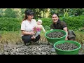 Download Lagu Nutritional Meals for Mother and Baby | Peaceful Life on the Farm, SURVIVAL ALONE