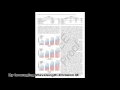 Loss-Aware Switch Design and Non-Blocking Detection Algorithm for Intra-Chip Scale Chinese 0616