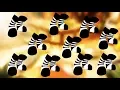 BLACK Candy Cane Socks EXPLAINED Animal Jam