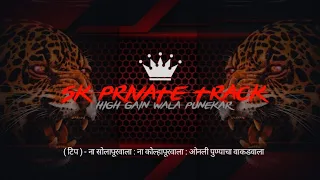 sk 78 tumchya pudhyat kutate mi ha jvanicha masala high gain song sk private track 