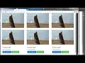 Complete Web Dev 0916 Thumbnails