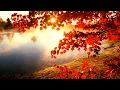 A melancholy mix of progressive ambient, deep house and trance music