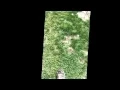 Craigslist scammers in Spokane wa cda Idaho fake money scam
