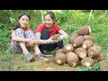 Download Lagu Harvesting 1000+kg Special Purple Yams \u0026 Selling Them at Countryside Market | May - Free Bushcraft