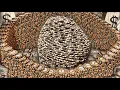 CRAZIEST CASINO JACKPOT EVER 100 Million Dollar Coin Pusher GAMBLE NEARLY 700M PROFIT SESSION