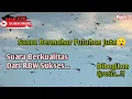 Download Lagu SP GEN 2 By Alfan Walet Maros Dibagikan Gratis Buat PETANI WALET - suara panggil ini dulu dimaharkan