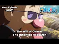 ONE PIECE Episode 1097 The Will of Ohara The Inherited Research