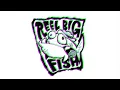 Reel Big Fish -  Take on Me (Live in 2001)