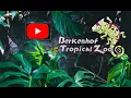 Download Lagu Berkenhof Tropical Zoo