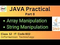 Array String Manipulation Java Practical Class 12 Information Technology IT Code 802 Exam