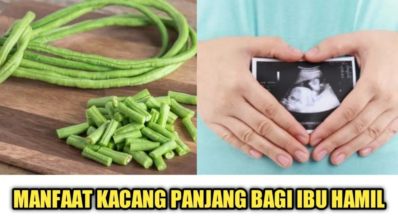 Hitungan Menit Bau Mulut Lenyap Gak Tersisa ✓ Jangan lupa Subscribe, Like, Comment dan Share ya tema. 