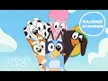 Download Lagu De Wip 💙 | Volledige Aflevering | Bluey - Officieel Nederlands kanaal