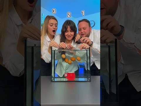 3, 2, 1 - 🏆???