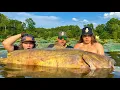 Giant Catfish caught by hand in iLLinois