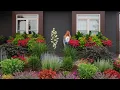 How to Fertilize Your Flowers Container Gardening Tips Maintenance Window Box Full July Lesson