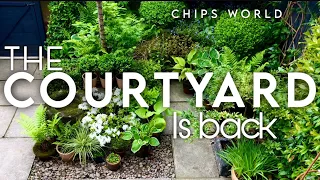 Design Creating A Magical Courtyard Garden Backyardmakeover Smallgardenideas 