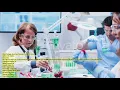 Mature Head of Department Talking Stock Footage Mega Pack