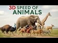 Download Lagu SPEED COMPARISON 3D | Animals 🦌
