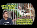 Download Lagu Mengawali Ternak Kembali Emprit Kaji Dan Emprit Jepang