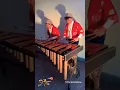 Download Lagu #manga #anime  #onepiece #theme #themesong #series #marimba  #realdrum #realpercussion #percussion