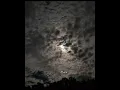  مسلم - واحشاك (تصميم مميز) | Muslim - Wahshak