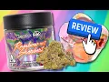 DOJA PAK RS-11 Rainbow Sherbert CONNECTED CANNABIS COLLABORATION