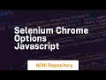 selenium chrome options javascript