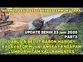 Download Lagu GABUS \u0026 BELUT MABOK!! ECAVATOR ANGKAT ENDAPAN LUMPUR HITAM KALI BEKASI || KALI RAMENTES #dedimulyadi