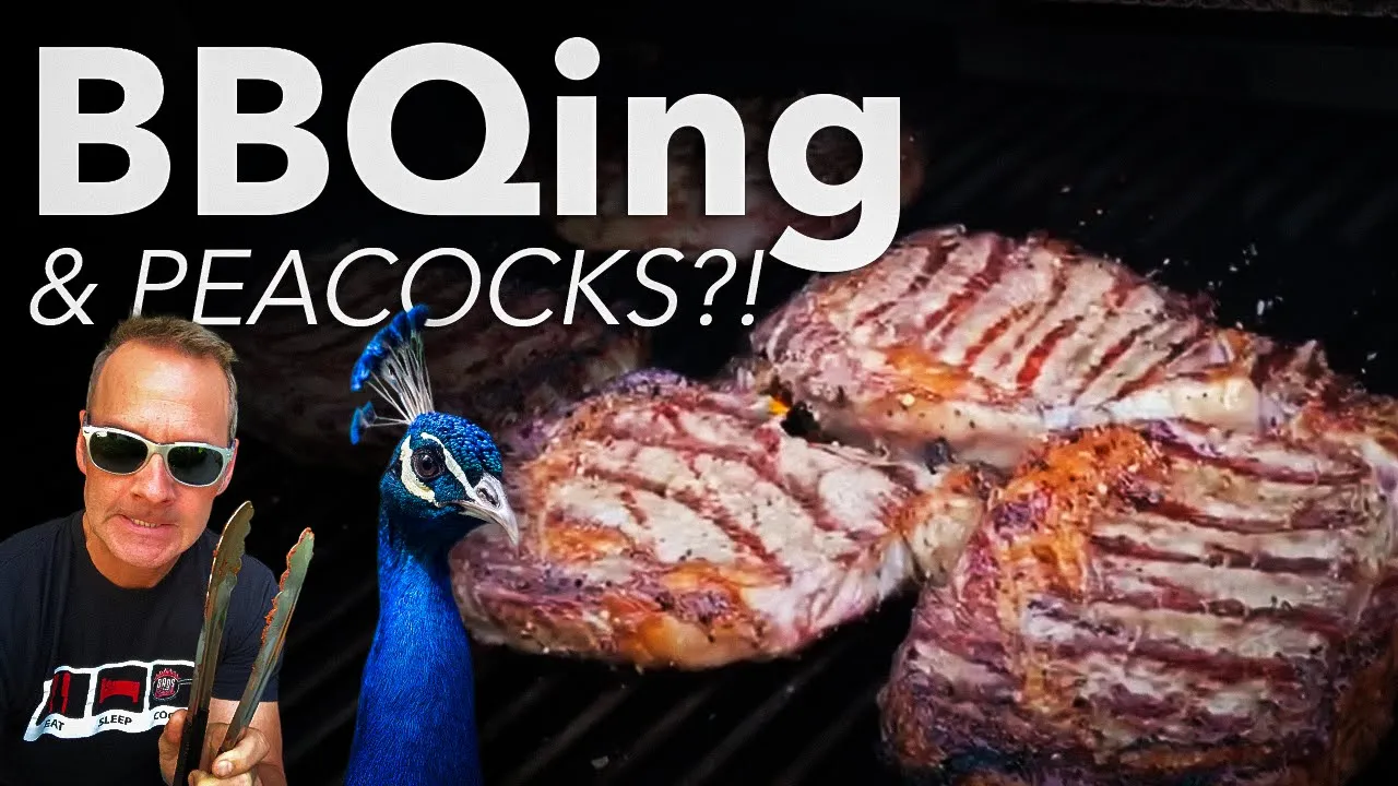 Do Peacocks Scream While Barbecuing?  DADS THAT COOK