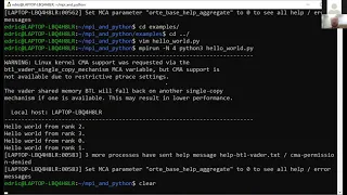 Parallel Programming with Python MPI