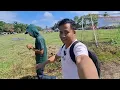 Download Lagu WIRTA KUNIL KUNIL MAKAN SIOMAY DI SAROLANGUN JAMBI