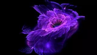 setia ke akhir hayat lirik ziana zain