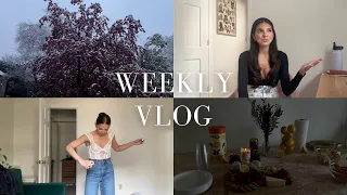 Download WEEKLY VLOG: Taco Tuesday, More Snow, TTPD MP3