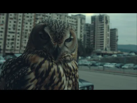Video Thumbnail: KA7LA, Norfafrica - 900 FREESTYLE (VISUALIZER)