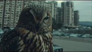 KA7LA, Norfafrica - 900 FREESTYLE (VISUALIZER)