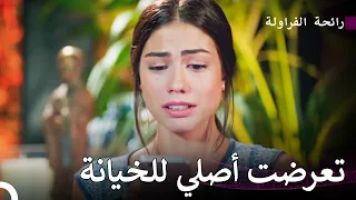 حب أصلي وبوراك السري#18 - رائحة الفراولة